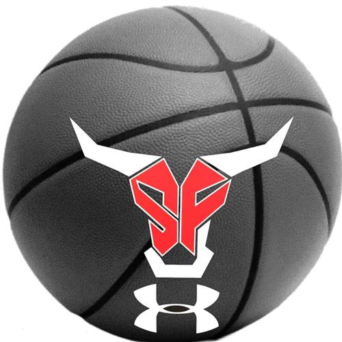 Spanish Fort Basketball